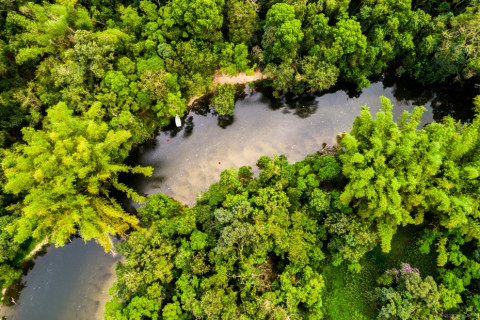Estratégia para fortalecer Arranjos Produtivos Locais da Amazônia será apresentada em Belém